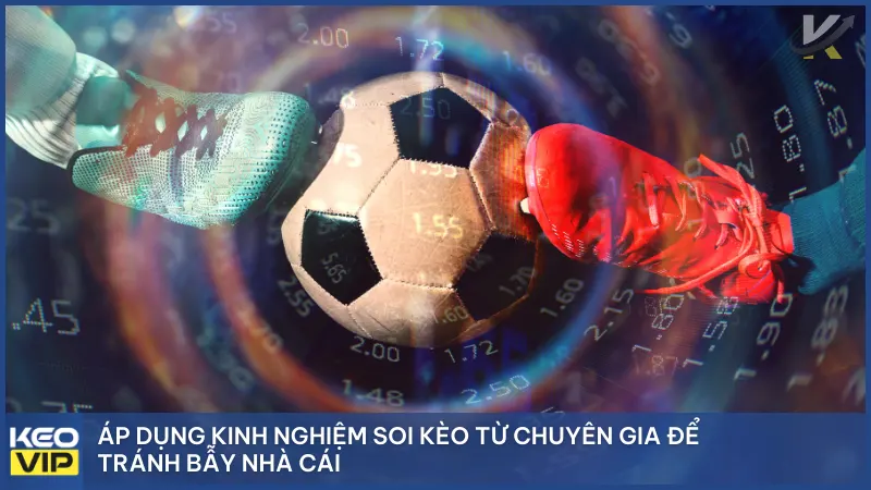Kèo Nhà Cái 5 beach - Keonhacai - Tỷ Lệ Kèo Bóng Đá Trực Tuyến Chuẩn Xác 12 Chiến lược quản lý vốn và bí quyết chọn kèo hiệu quả cho người chơi