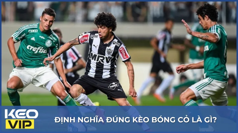 Kèo bóng cỏ là gì? Đây là thuật ngữ dùng để chỉ các trận đấu thuộc những giải bóng đá ít được truyền thông chú ý