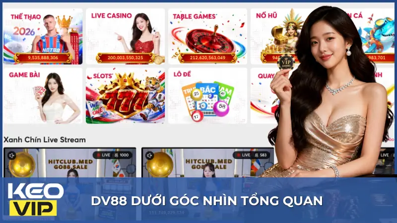 DV88 sở hữu hệ thống giải trí trực tuyến đa dạng sản phẩm, đồng thời tối ưu hóa khả năng vận hành mượt mà trên mọi nền tảng thiết bị