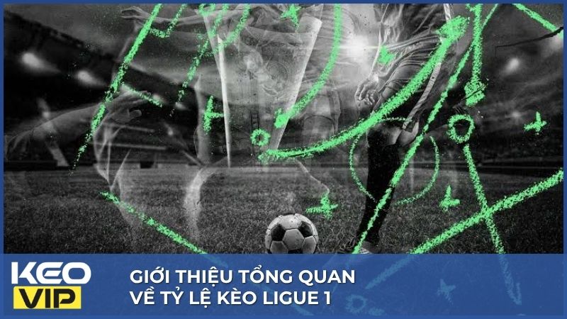 Tỷ Lệ kèo Ligue 1 - Khám Phá Giải Đấu Top Đầu Nước Pháp 1 Tỷ lệ kèo Ligue 1 nổi bật khi Pháp nổi tiếng với các trận bóng hay