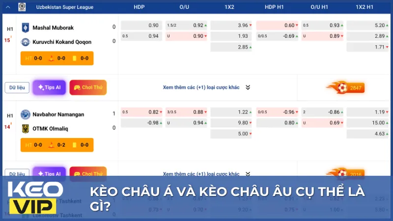 Tỷ lệ chấp là đặc điểm nổi bật giúp phân biệt kèo châu Á với các loại kèo khác