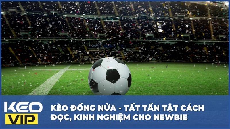 Kèo Đồng Nửa - Tất Tần Tật Cách Đọc, Kinh Nghiệm Cho Newbie 3 Kèo Đồng Nửa