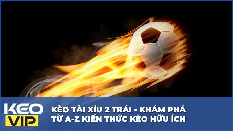 Kèo Tài Xỉu 2 Trái - Khám Phá Từ A-Z Kiến Thức Kèo Hữu Ích 2 Kèo Tài Xỉu 2 Trái