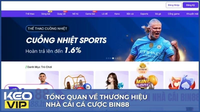 Bin88 là nền tảng cá cược trực tuyến đình đám